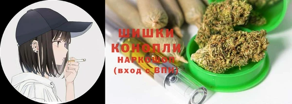 шишки Аркадак