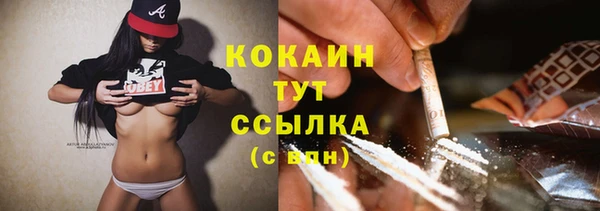 крисы Армянск
