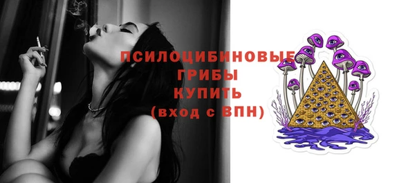 крисы Армянск