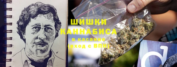 прущие грибы Балабаново